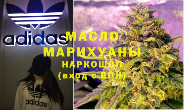 молекула духа Вяземский