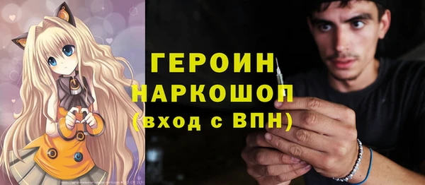 молекула духа Вяземский
