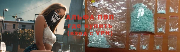 Альфа ПВП Горняк