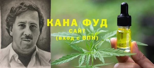 Альфа ПВП Горняк