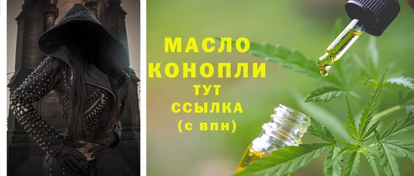 молекула духа Вяземский