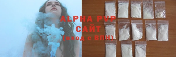 молекула духа Вяземский