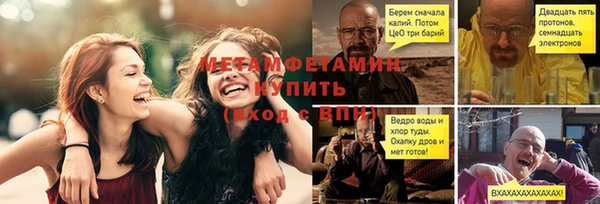 молекула духа Вяземский