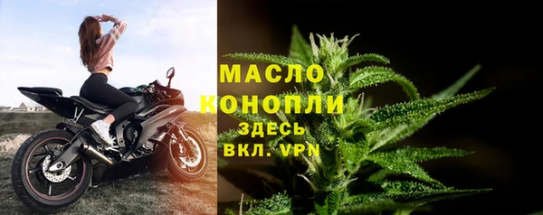 молекула духа Вяземский