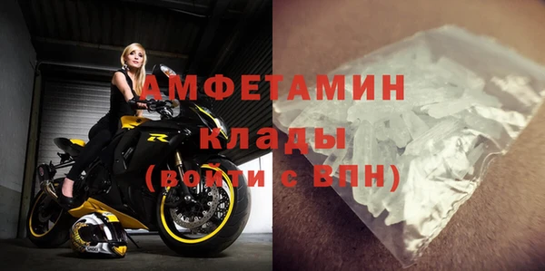 молекула духа Вяземский