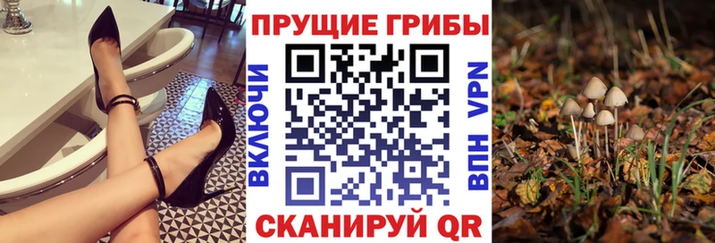 Галлюциногенные грибы мицелий  Купить  Холмск 